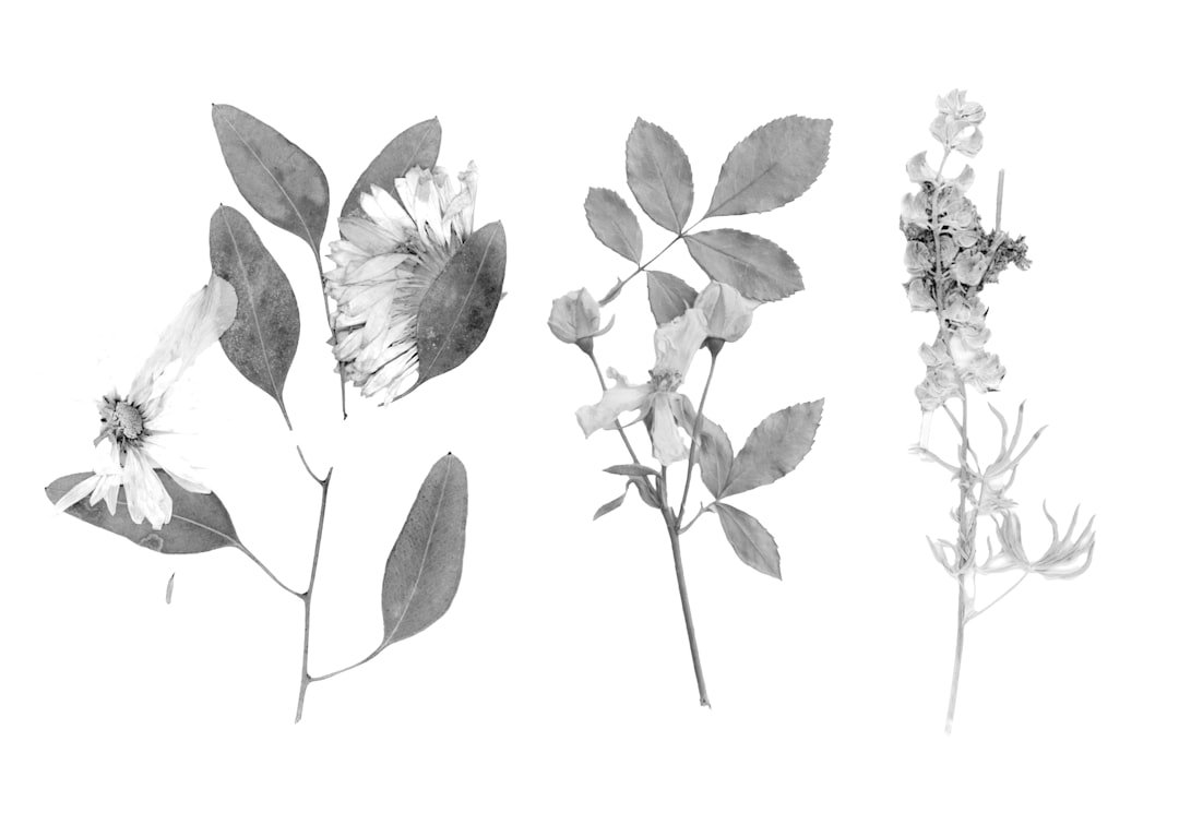 The Evolution of Christoph Sanders’ Character: Kyle Anderson’s Growth Over the Seasons